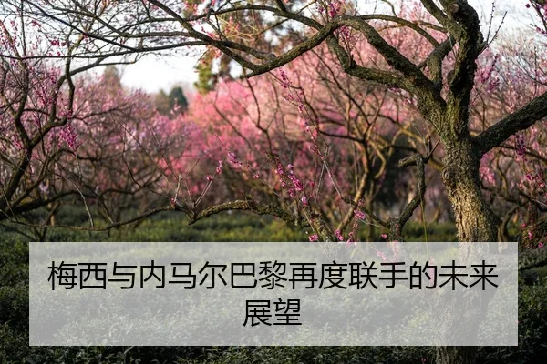 梅西与内马尔巴黎再度联手的未来展望